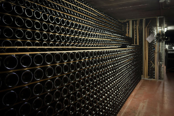 Foto cantina di vini
