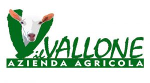 Logo Il Vallone azienda agricola