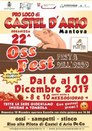 Locandina Oss Fest 2017